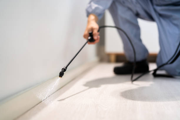 Licensed Pest Control service in Kittredge, CO - Show Me Pest Control