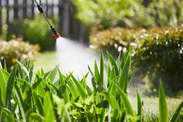 Tamper-Resistant Bait Stations for Rodents in Kittredge