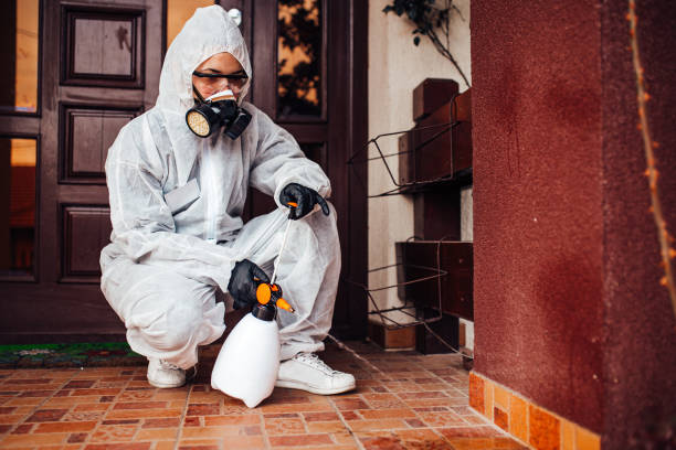 Attic and Crawl Space Rodent Treatment in Kittredge
